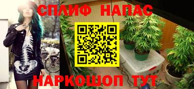 каннабис Будённовск
