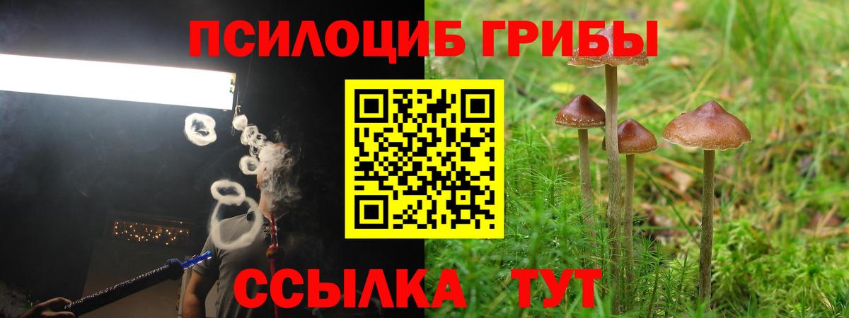 Галлюциногенные грибы Psilocybine cubensis  Вход с VPN  купить наркоту  Троицк  Галлюциногенные грибы Cubensis 