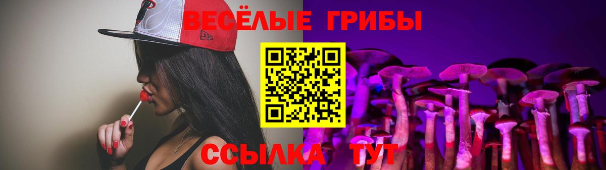 Псилоцибиновые грибы Psilocybe Троицк